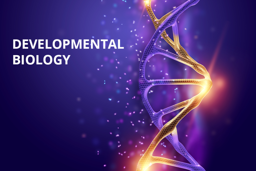 developmental-biology-researchworld