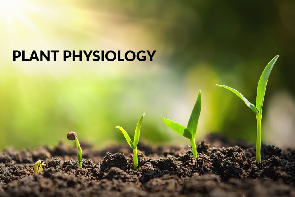 research about plant physiology